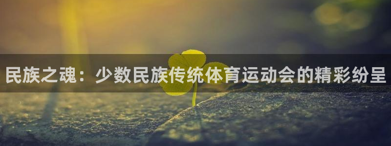 yy易游官网下载平台注册要钱吗是真的吗:民族之魂:少数民族传